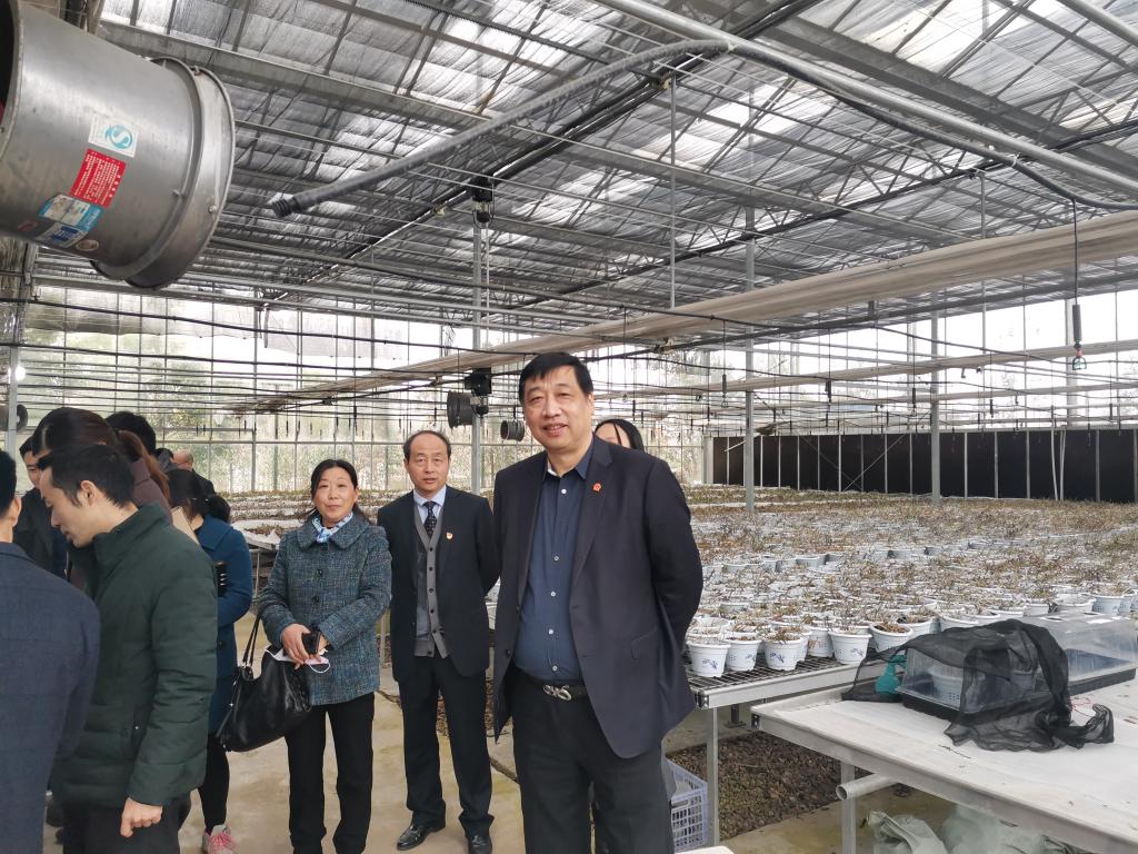 suncitygroup太阳集团官网